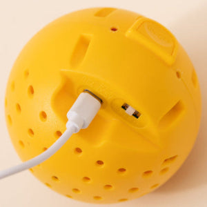 Interactive Jumping Chicken